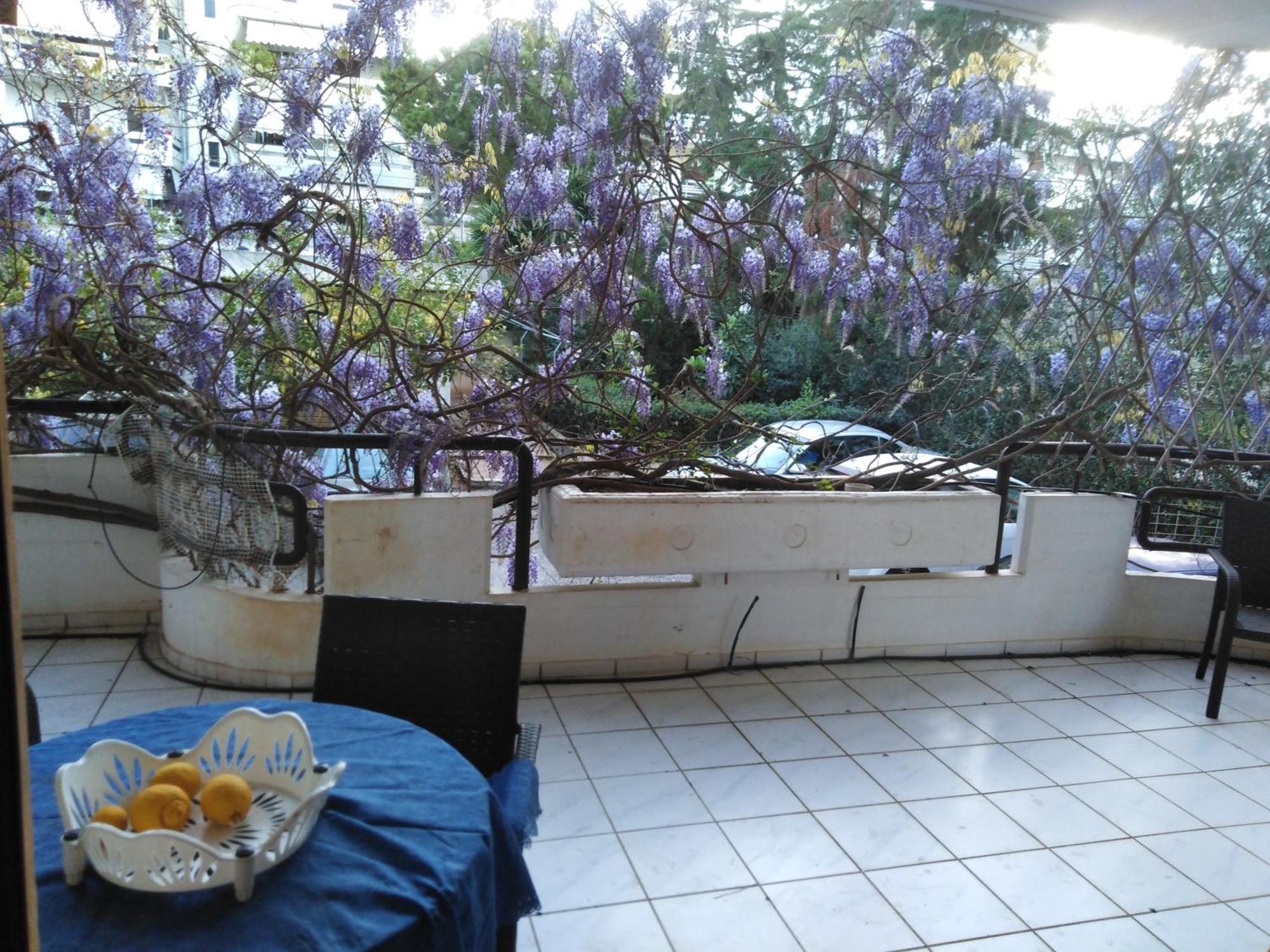 Filyra Homestay 雅典 客房 照片
